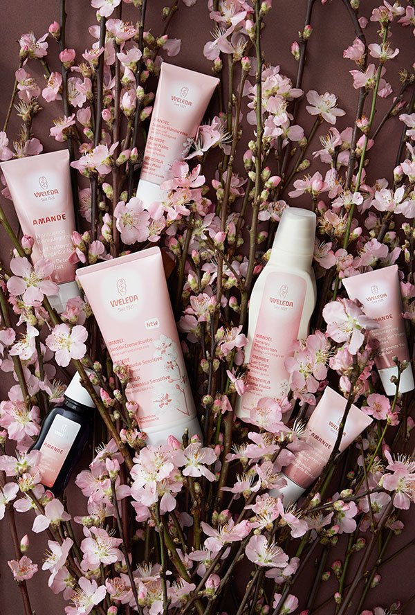 Weleda Mandel Sensitiv in Mallorca 9 Weleda_Mandel_Visual