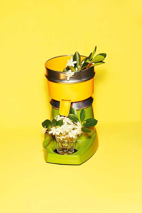 Hermes_Neroli_IngredientStill