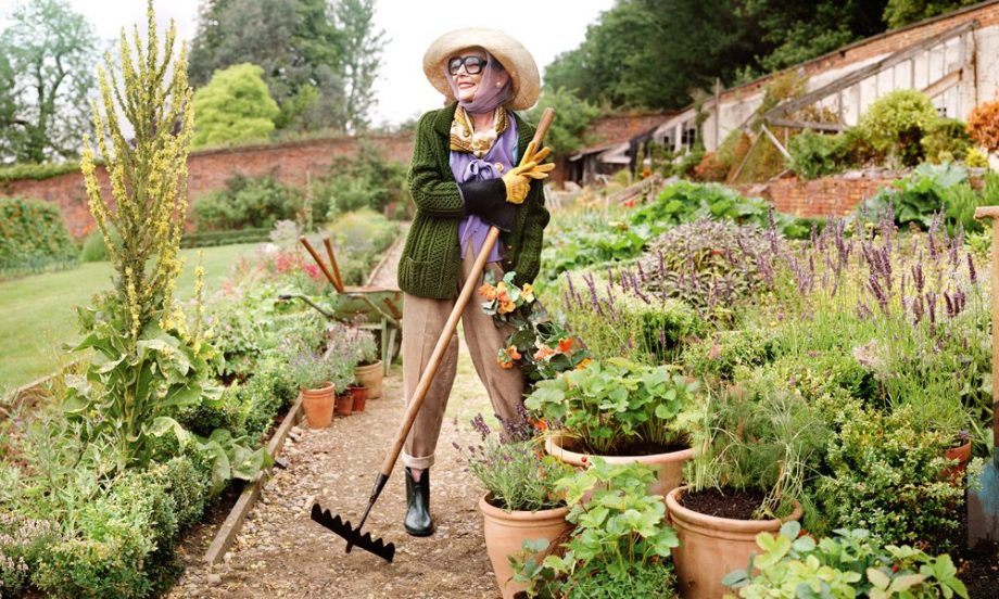 Jo Malone London The Herb Garden Hey Pretty