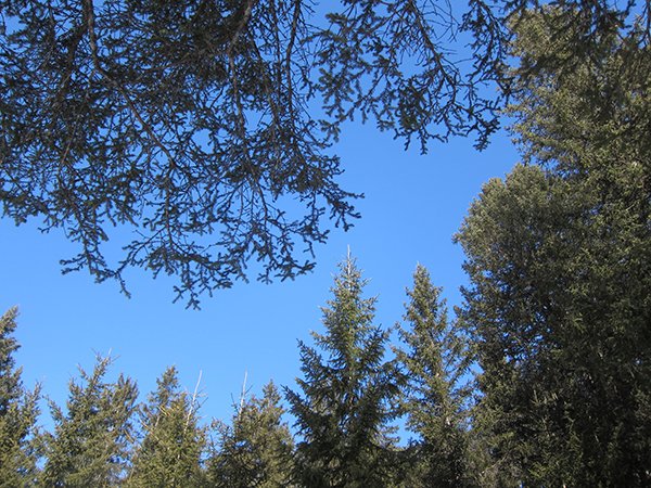 Lenzerheide_Natur
