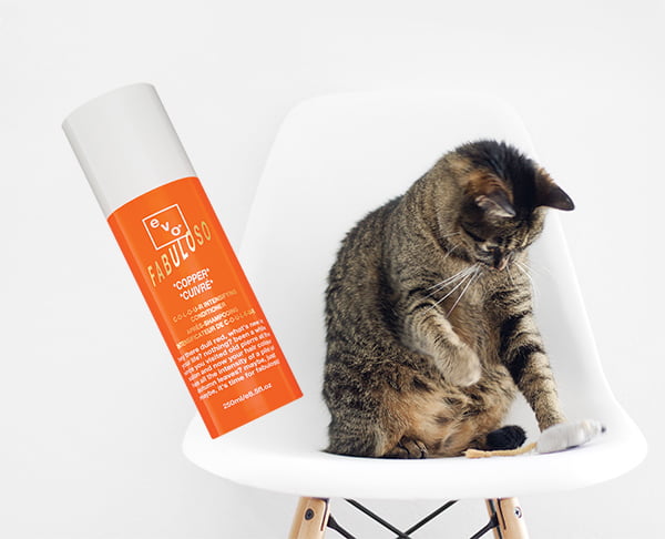 Voll intensiv: Evo Fabuloso Farbconditioner 5 Evo Copper Buesi