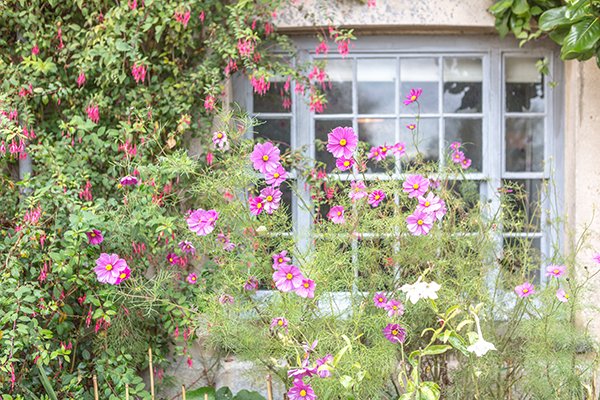 Jo Malone London: The Bloomsbury Set (Garden of Charleston)