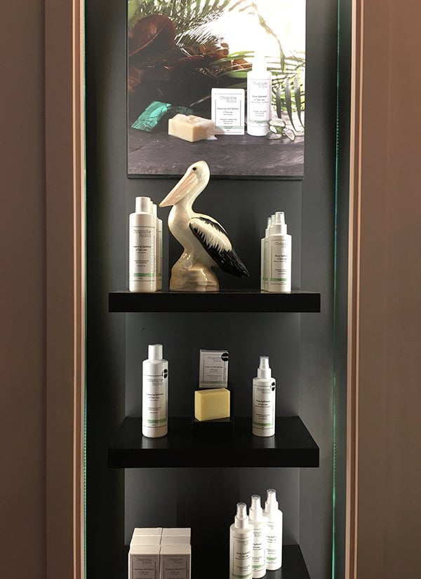 Christophe Robin Hydrating Shampoo Bar with Aloe Vera & Hydrating Mist with Aloe Vera (at the Robin Salon in Paris, Image by Hey Pretty)