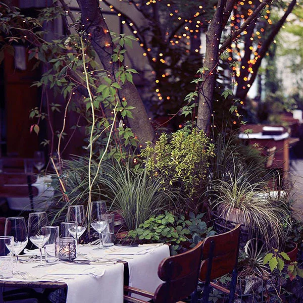 Knutschalarm: Die 10 romantischsten Restaurants in Zürich 4 CocoBar