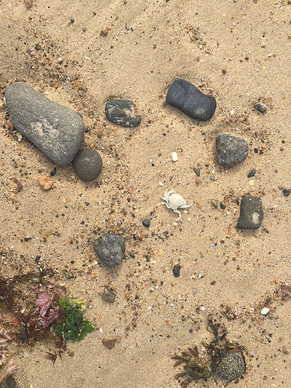 Hey Pretty Travels: Les Thermes Marins de Saint-Malo 16 SaintMalo 22 Strandgut