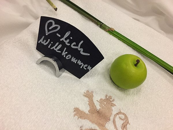 Spa Review: Wellnesshotel Golf Panorama Lipperswil 12 BABOR Tech Gesichtsbehandlung mit Derma Visualizer (Golfpanorama Hotel Lipperswil), Review auf Hey Pretty