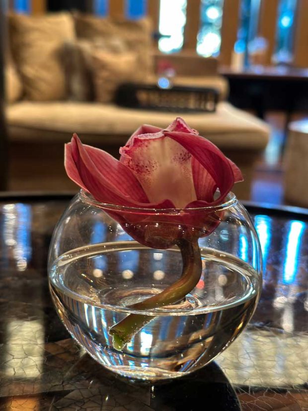 The Chedi Andermatt: Spa Review auf Hey Pretty (Erfahrungsbericht aus einem der besten Wellnesshotels der Schweiz)