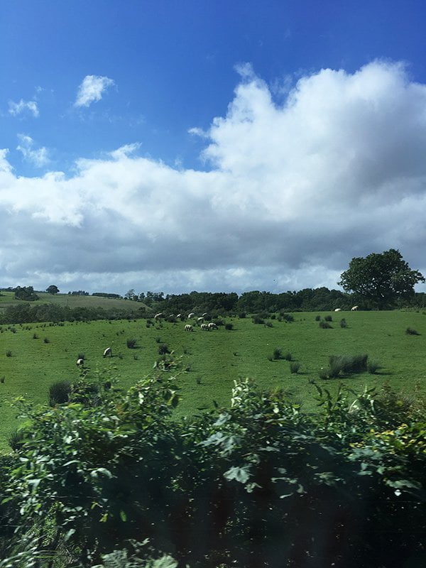 Landschaft ausserhalb von Stirling, Schottland (Hey Pretty Road Trip Edinburgh)