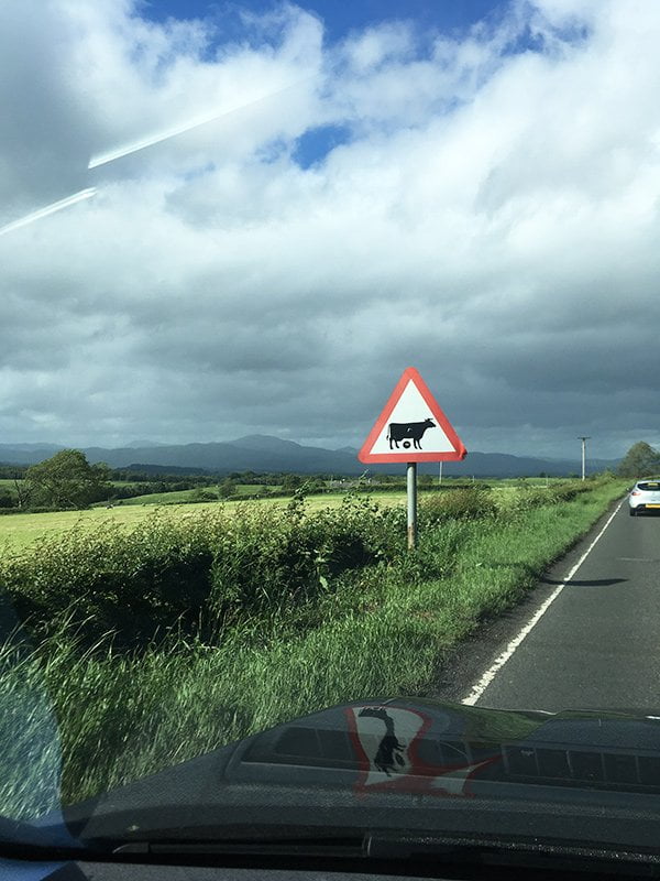 Landschaft ausserhalb von Stirling, Schottland (Hey Pretty Road Trip Edinburgh)