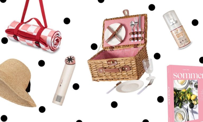 Picknick Teaser 1