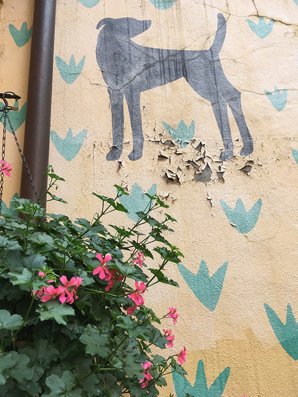 Street Art in Vevey (Image by Hey Pretty)