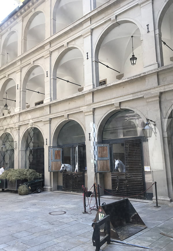 Spanische Hofreitschule Wien (Sightseeing in Wien auf Hey Pretty)