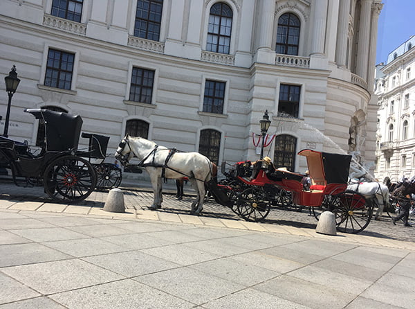 Alone in Wien: Rösslikutsche an der Hofburg (Hey Pretty)