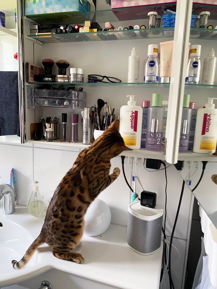 heypretty badezimmerschränkli nadialoosli katze 1