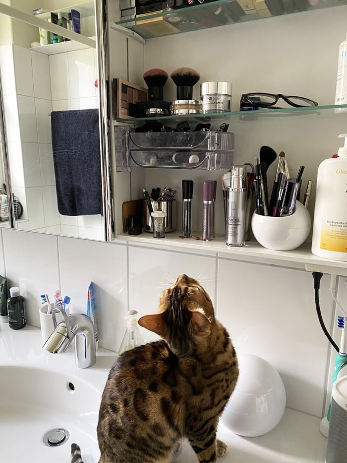 heypretty badezimmerschränkli nadialoosli katze 2