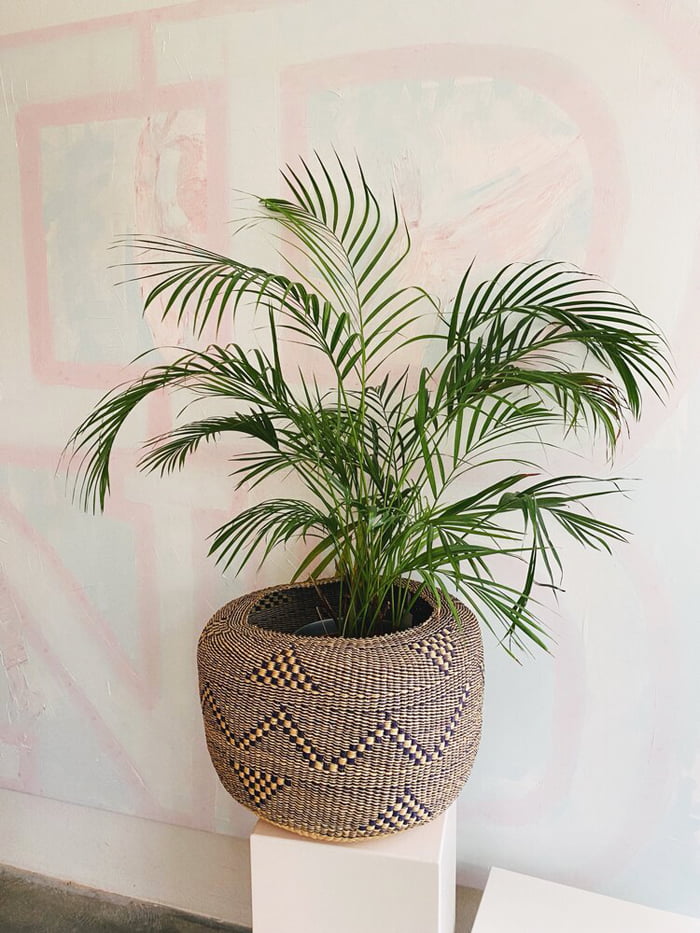 Hey Pretty Beatuy Blog Show Me Your Badezimmerschränkli Kathrin Eckhardt Studio Design Ghana Plant Basket