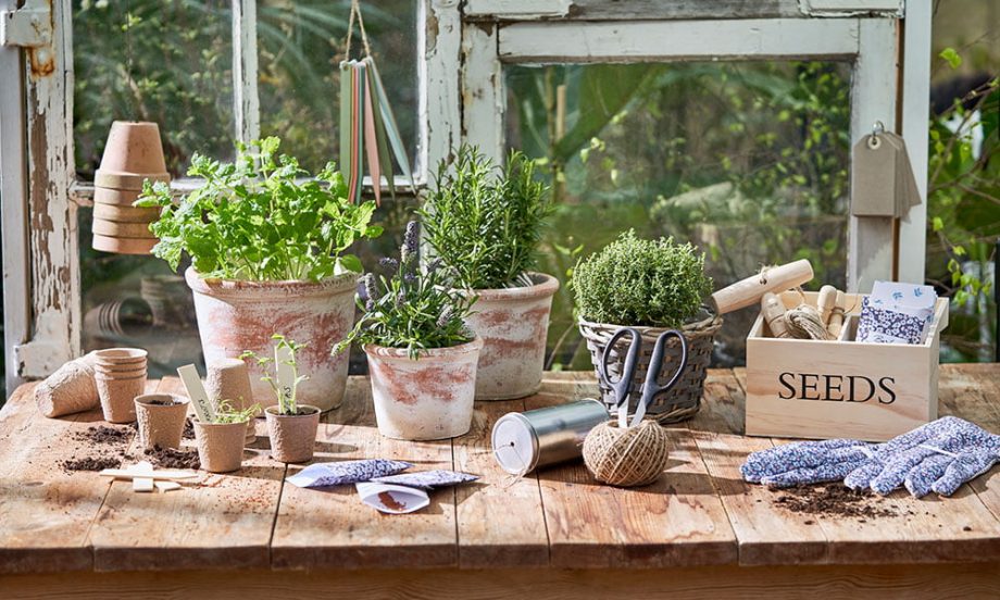 Mit Pflanzen wohnen: 24 schöne Ideen für Drinnen und Draussen Mit Pflanzen wohnen: 20 schöne Ideen für drinnen und draussen auf Hey Pretty Schweiz (Image credit: Sostrene Grene)