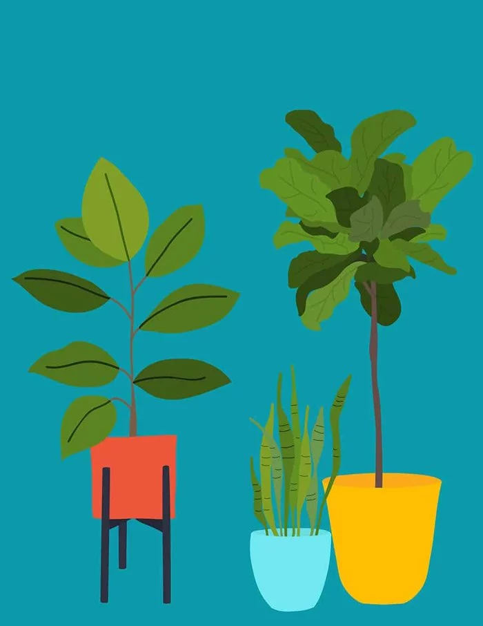 Deine Gratis Gallery Wall: Neue Free Printable Wandbilder 19 ModernPlantPrintable