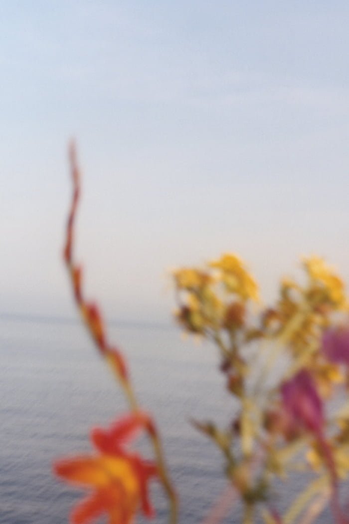 heypretty review jomalone dieschönheitderbritischeninseln wildswimming primage flower 1