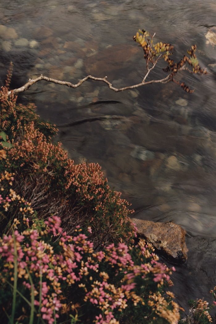 heypretty review jomalone dieschönheitderbritischeninseln wildswimming primage river 2 1