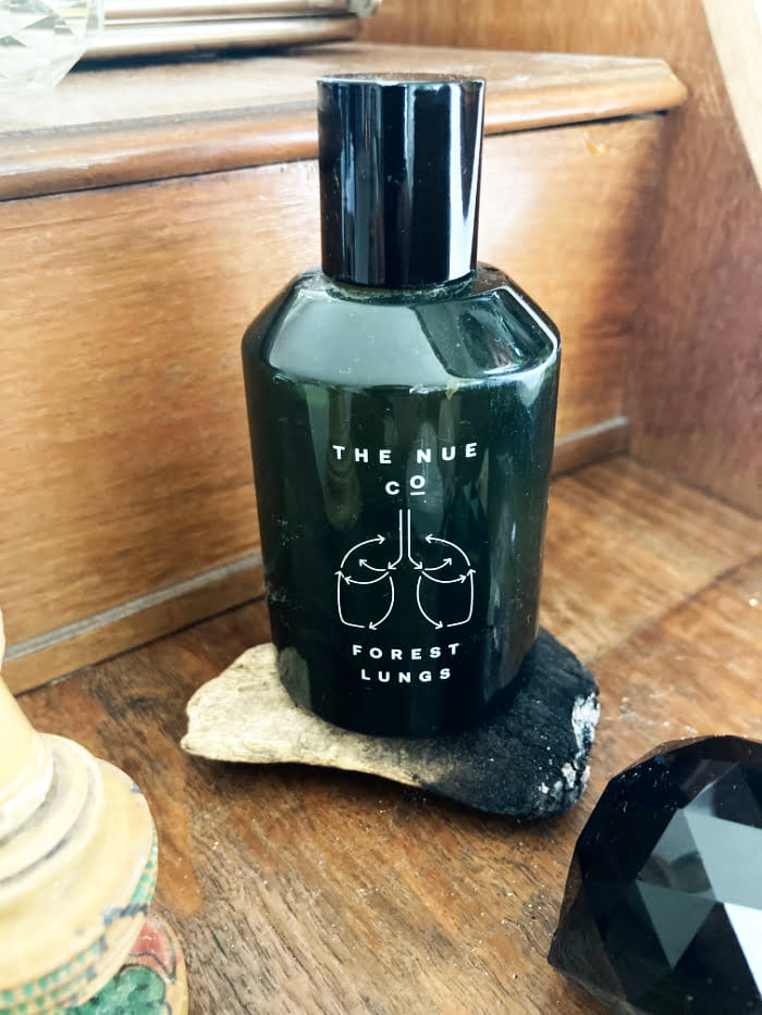 Hey Pretty Beauty Blog Show Me Your Badezimmerschränkli Alina Sara Hediger Make-up Artist Esthetician Beautician Kosmetikerin The Nue Co Forest Lungs