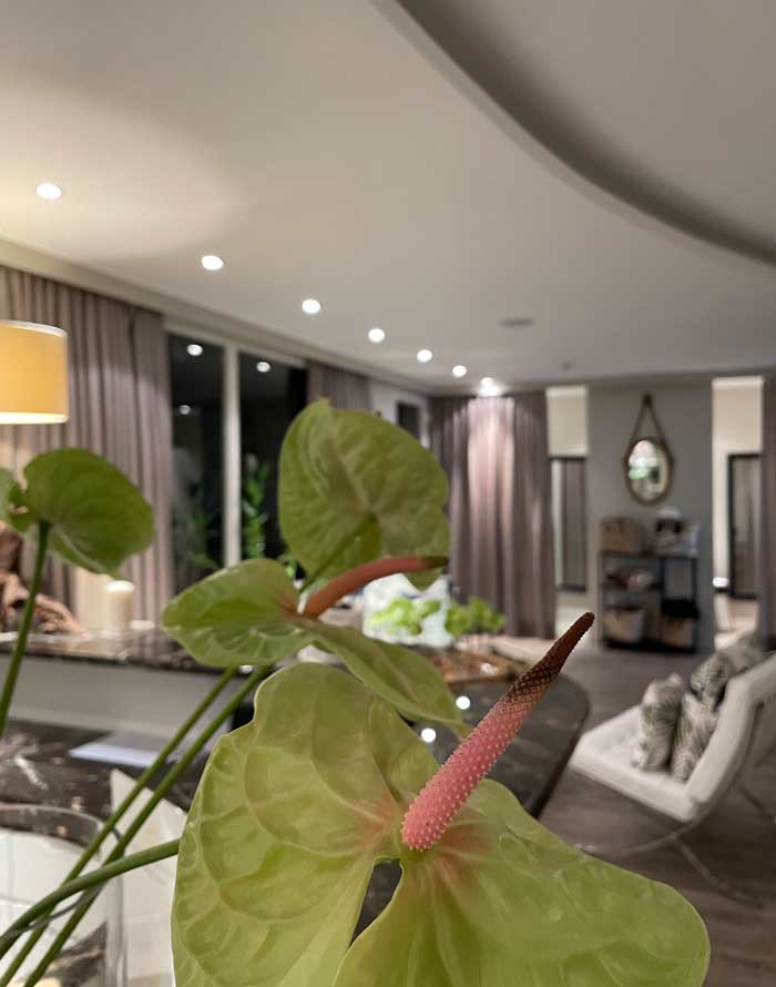 Spa Review zum Frühlingsbeginn: Villa Orselina in Locarno 33 Orselina Spa Lobby Mood