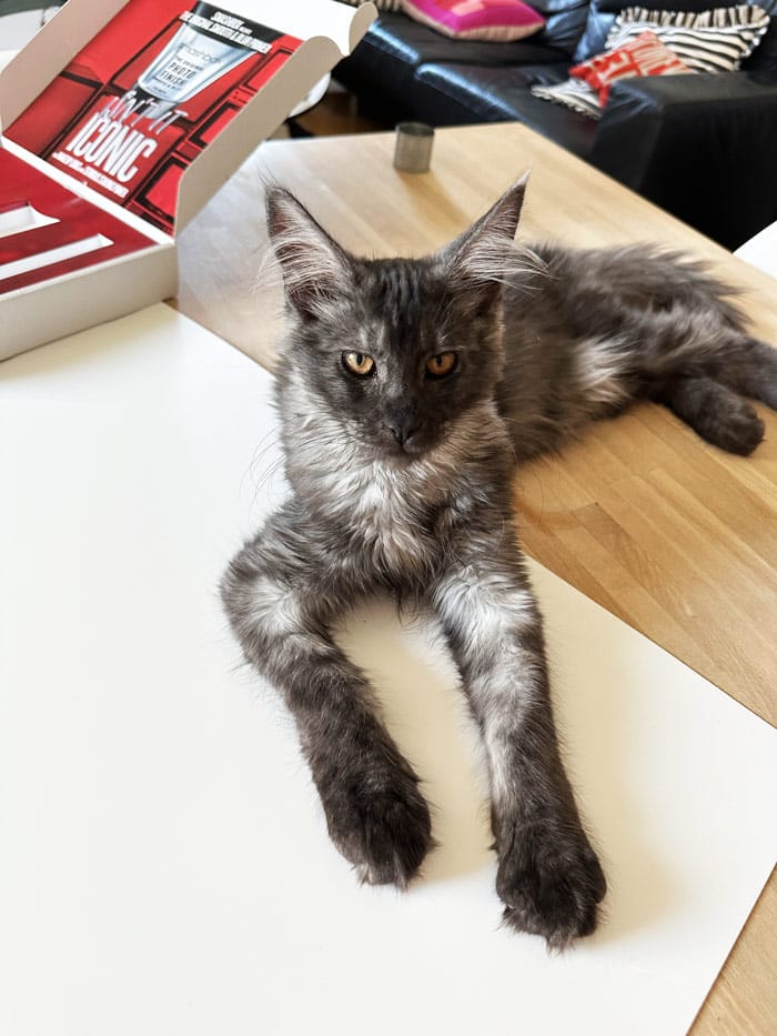 90s Make-Up Quickie mit dem Smashbox Photo Finish Primer 10