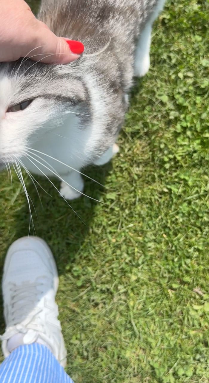 DrHauschka Garten Buesi