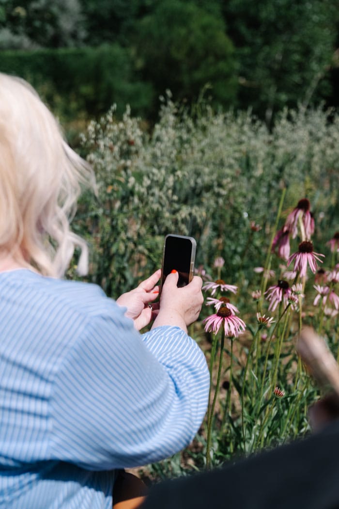 DrHauschka Garten Steffi FotoBlume