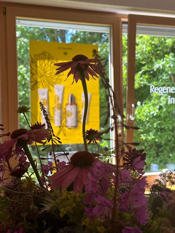 DrHauschka Workshop DetailBlumen