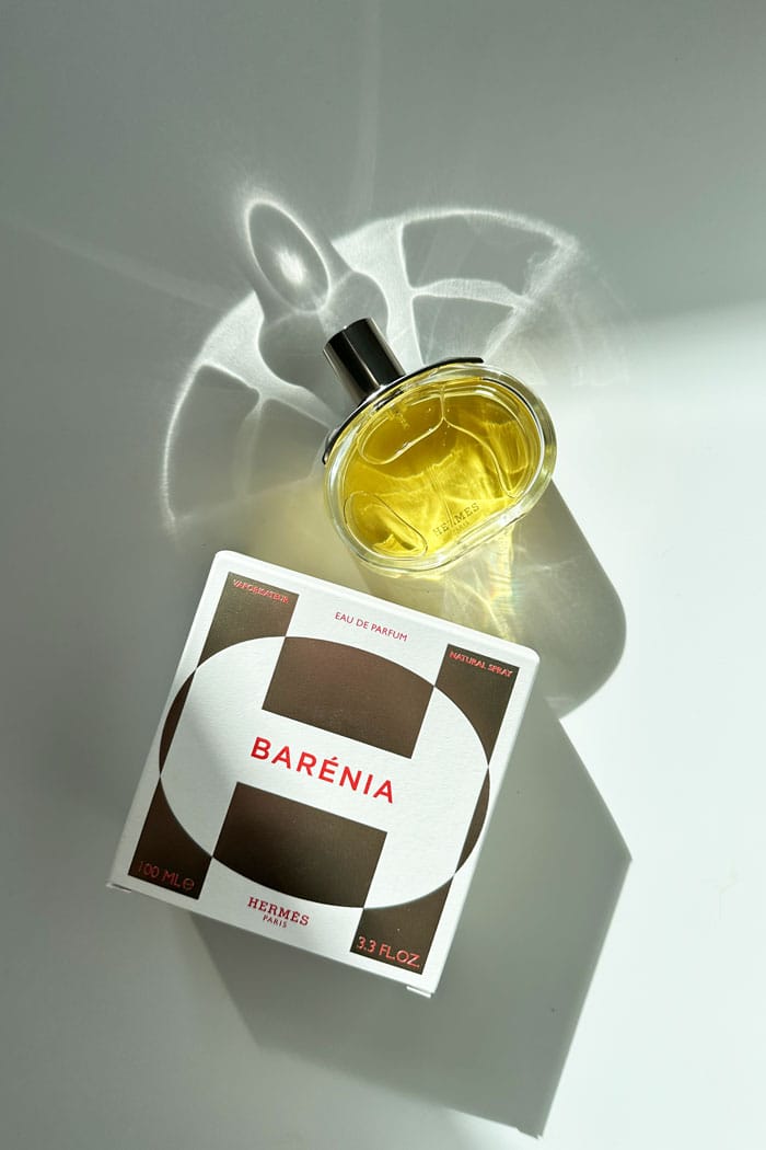 Hermes Barenia Closer