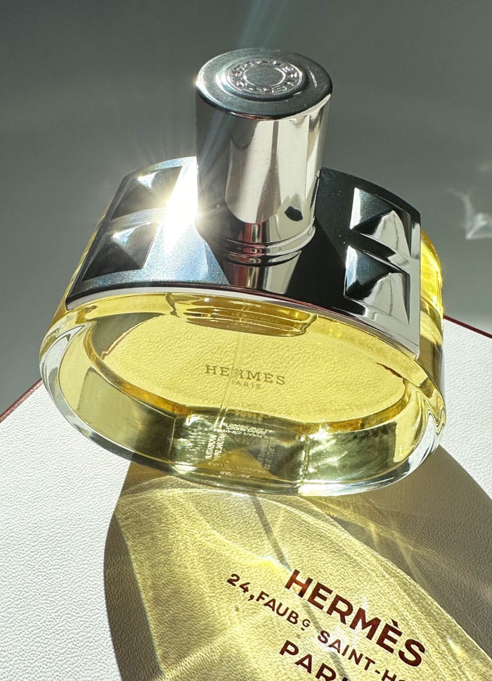 Hermes Barenia Closeup