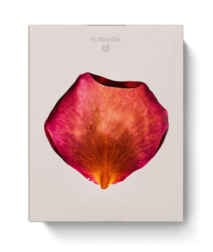 Beauty Adventskalender 2025: Hier findest du deinen Favoriten 18 DrHauschka Adventskalender 2025