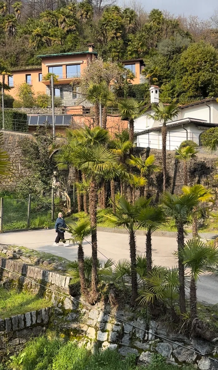 Spa Review mit ordentlich Frühlingssonne: Hotel Belvedere Locarno 4 Belvedere Garten Aussen Funi