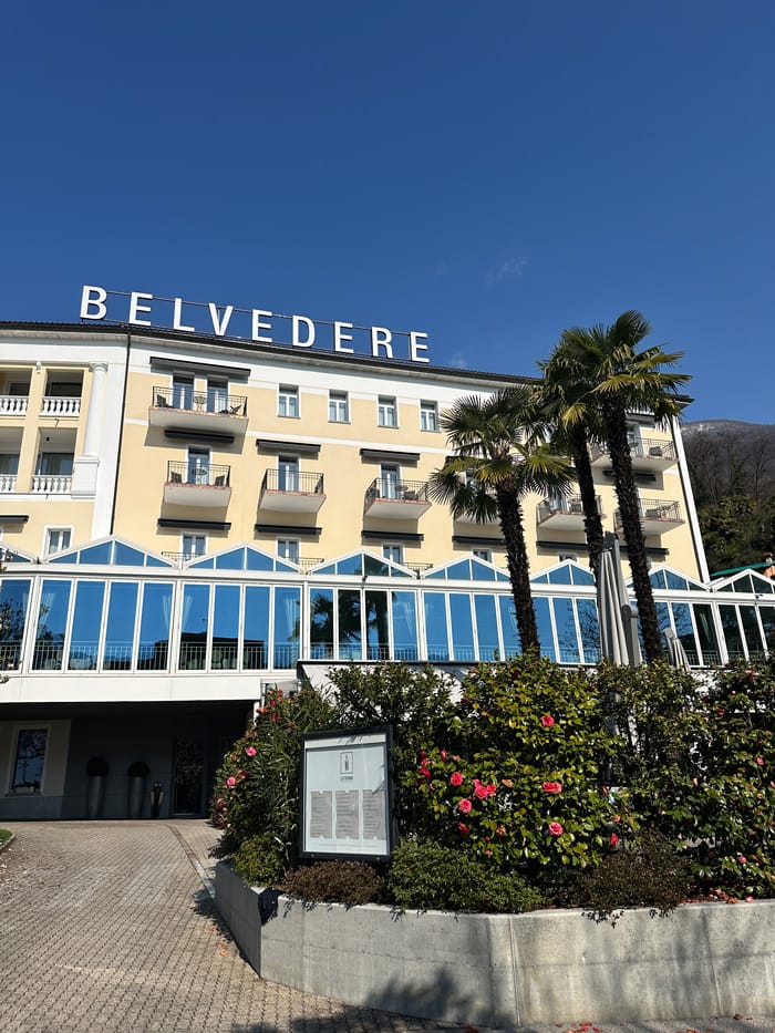 Spa Review mit ordentlich Frühlingssonne: Hotel Belvedere Locarno 5 Belvedere Hotel Aussen Palme