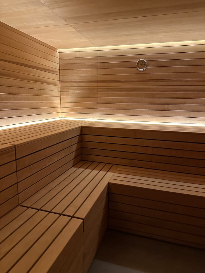 Spa Review mit ordentlich Frühlingssonne: Hotel Belvedere Locarno 35 Belvedere Spa Sauna