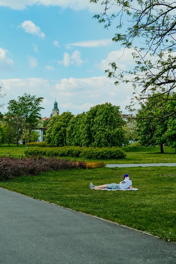 reisen park egor komarov