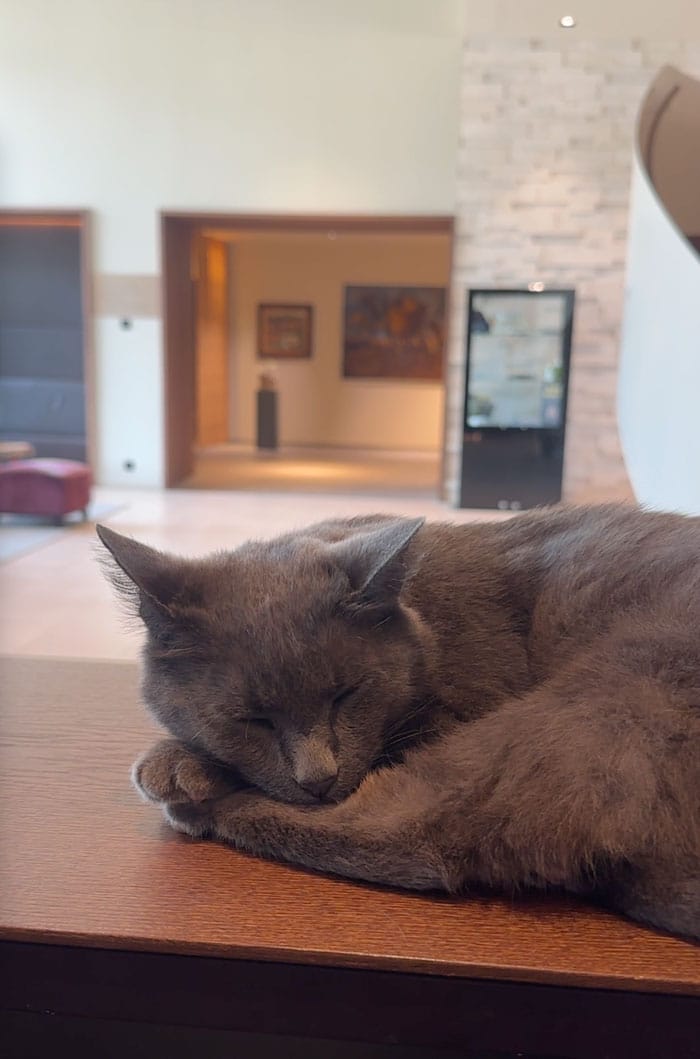 Deltapark Hotel Kater Bubu
